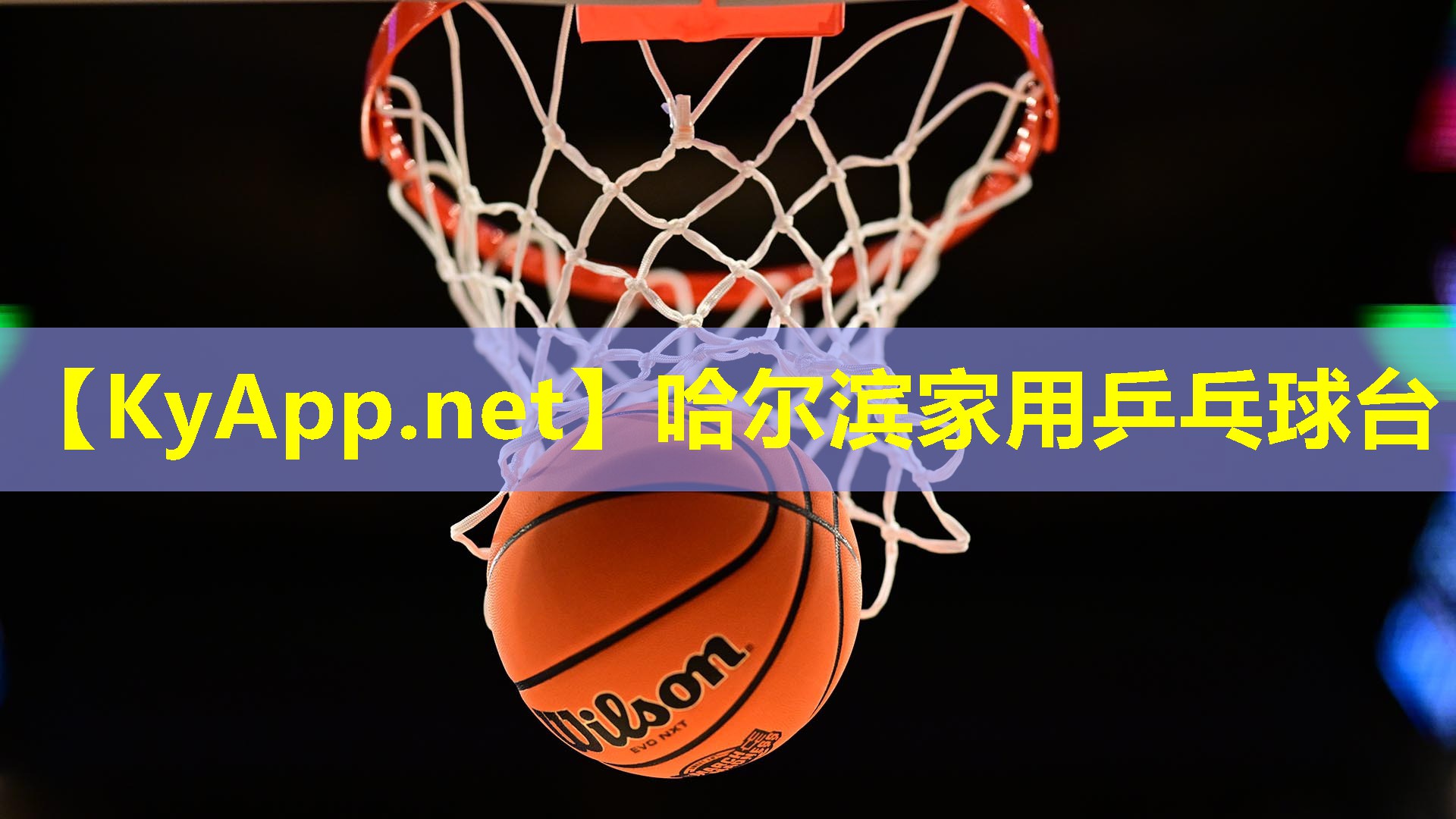 哈尔滨家用乒乓球台 哈尔滨家用乒乓球台