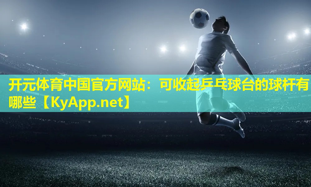 可收起乒乓球台的球杆有哪些 可收起乒乓球台的球杆有哪些