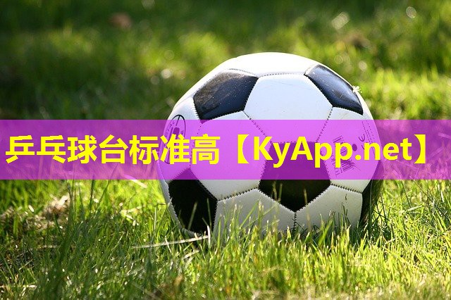 乒乓球台标准高 乒乓球台标准高