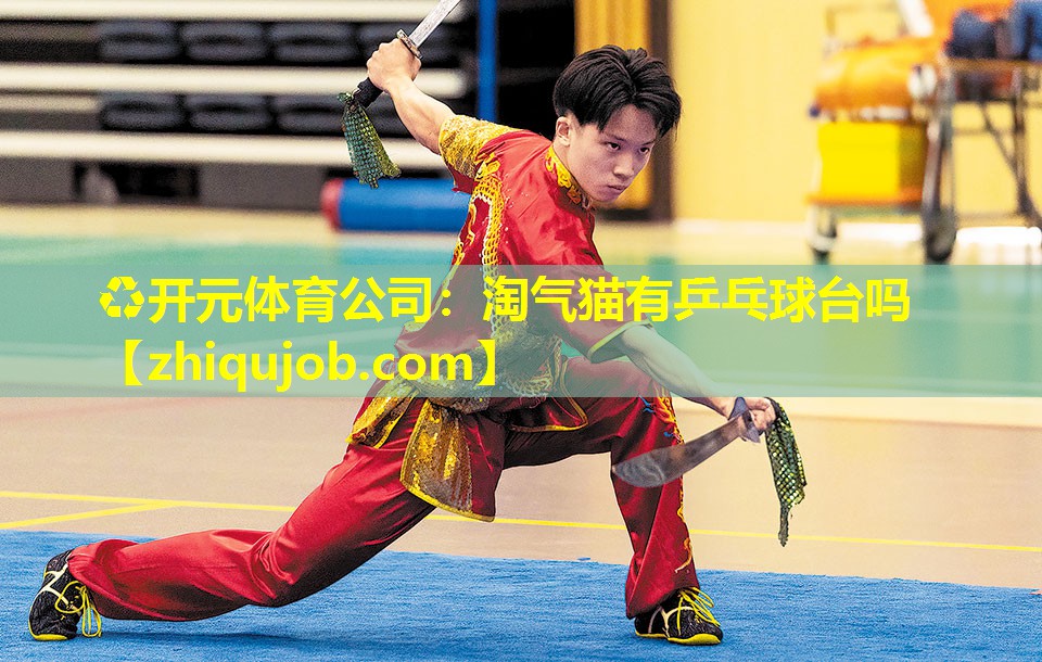 淘气猫有乒乓球台吗 淘气猫有乒乓球台吗