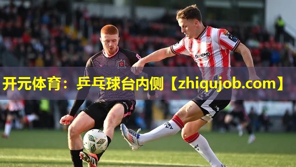 乒乓球台内侧 乒乓球台内侧