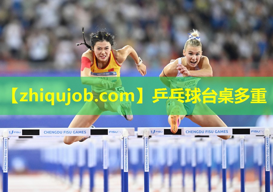 乒乓球台桌多重 乒乓球台桌多重