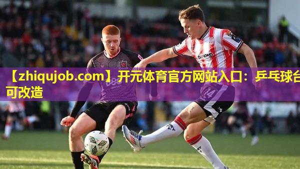 乒乓球台可改造 乒乓球台可改造