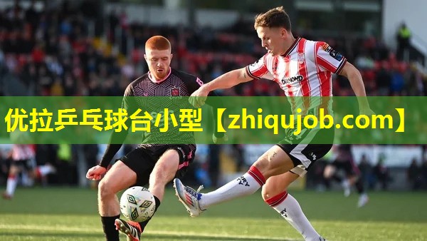 优拉乒乓球台小型 优拉乒乓球台小型