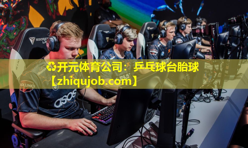 乒乓球台胎球 乒乓球台胎球