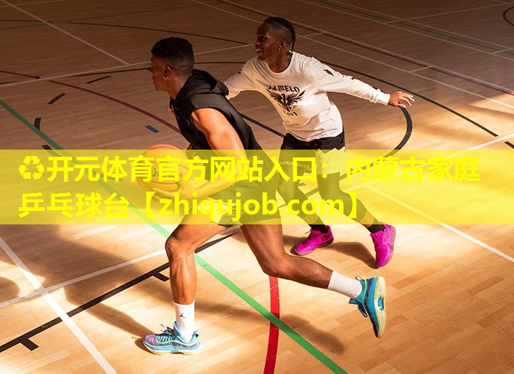 内蒙古家庭乒乓球台 内蒙古家庭乒乓球台