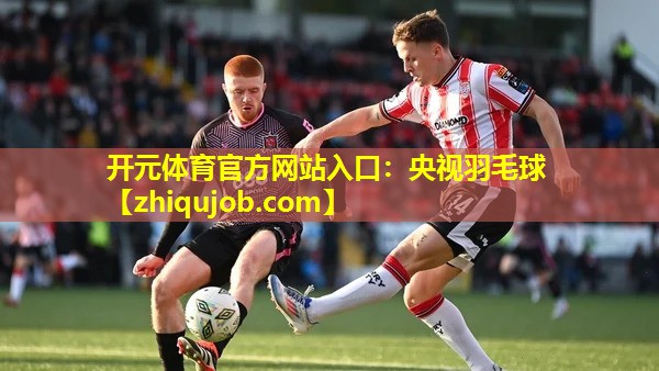 央视羽毛球