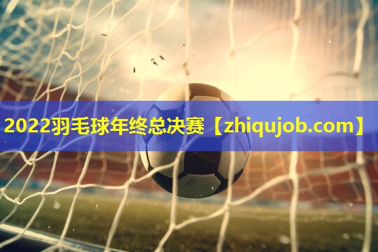 2022羽毛球年终总决赛