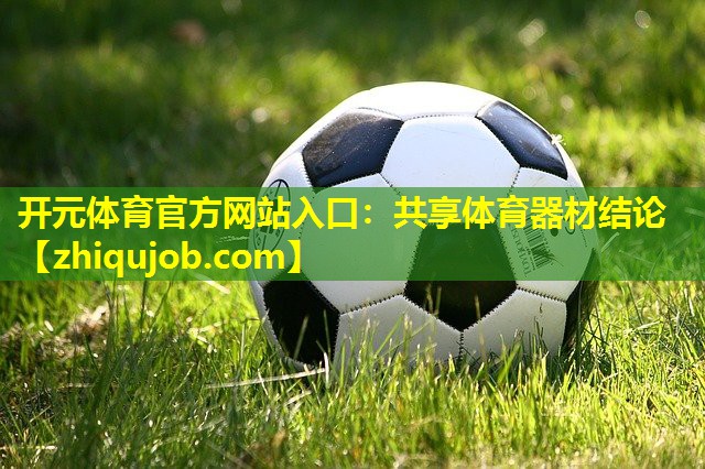 共享体育器材结论