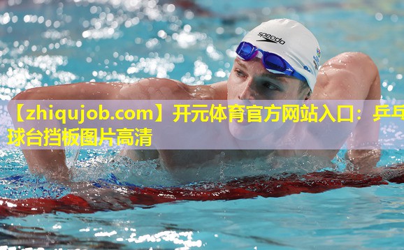 乒乓球台挡板图片高清